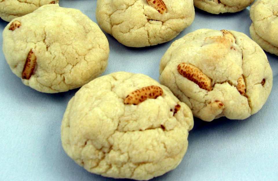 photo by Dreamer in Ontario