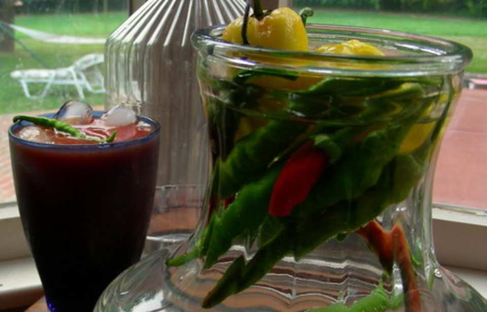 photo by Andi Longmeadow Farm