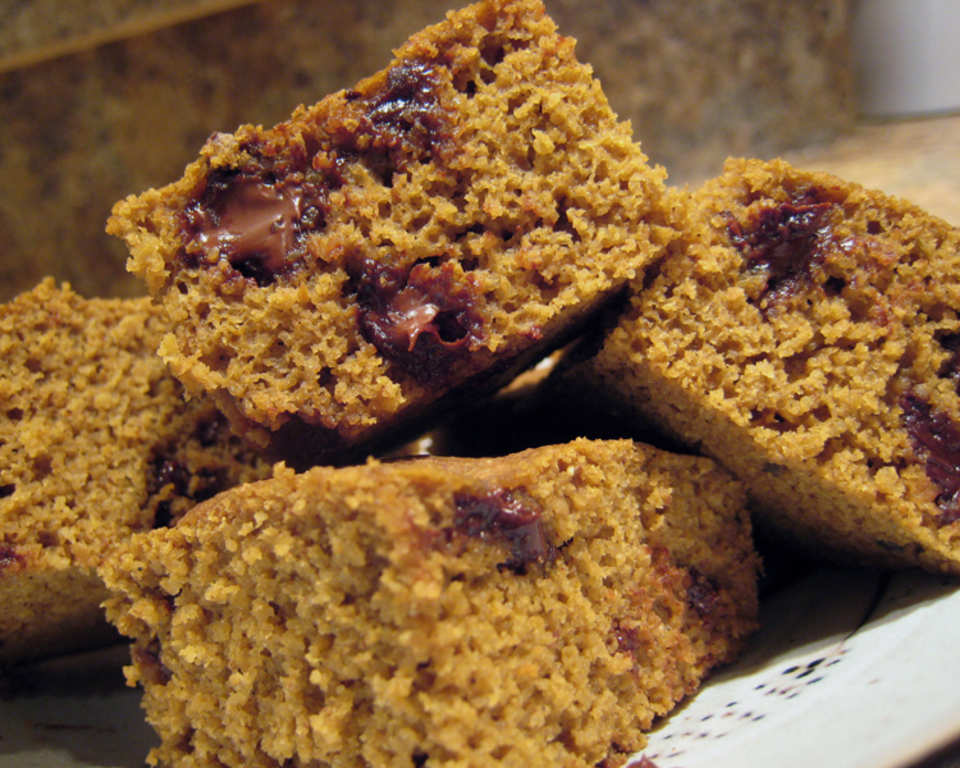 photo by yogiclarebear