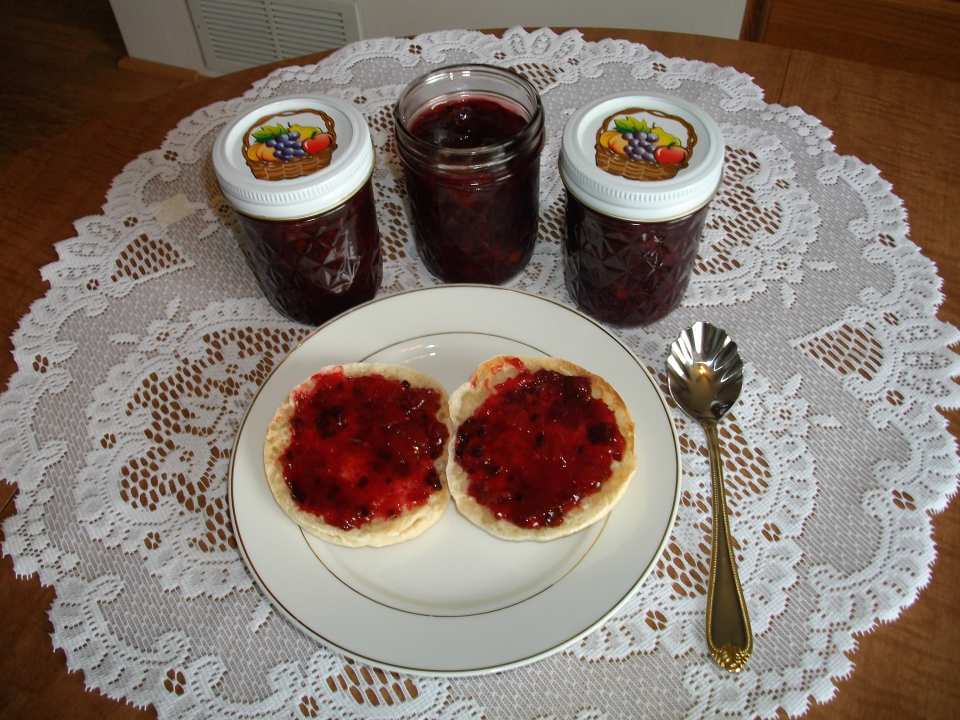 photo by Cindi-Marie-Bauer