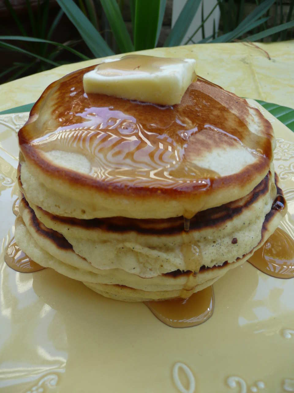 photo by Stephanie Y.