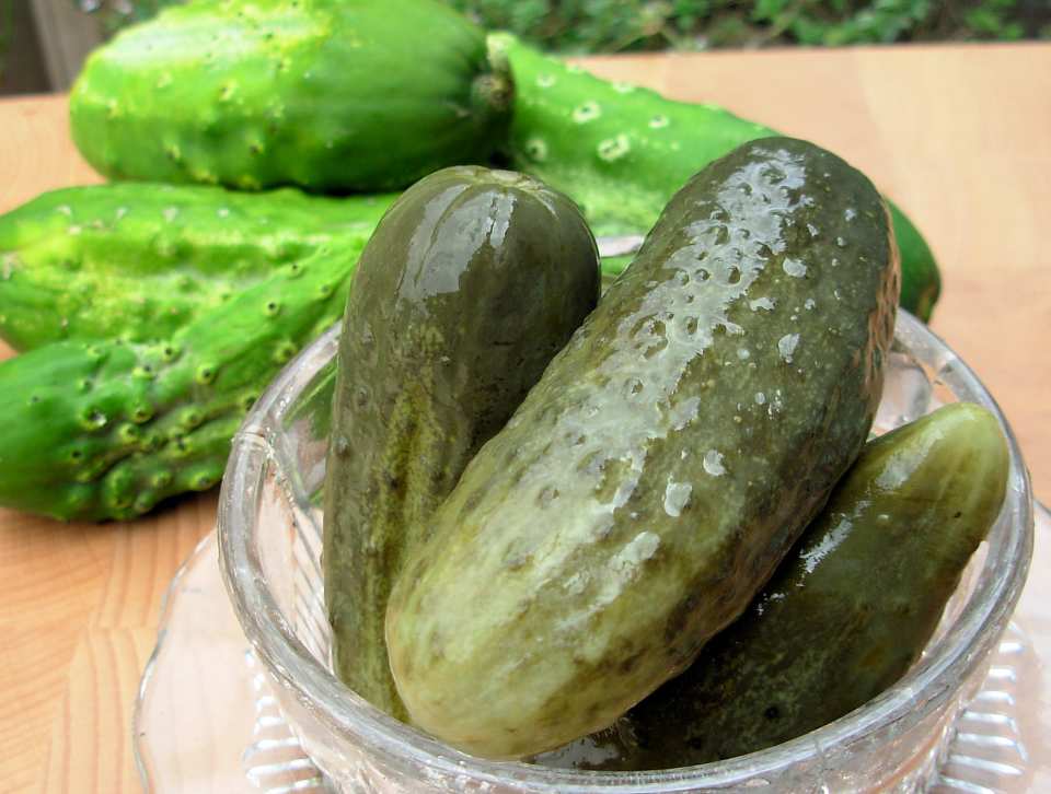 photo by French Tart