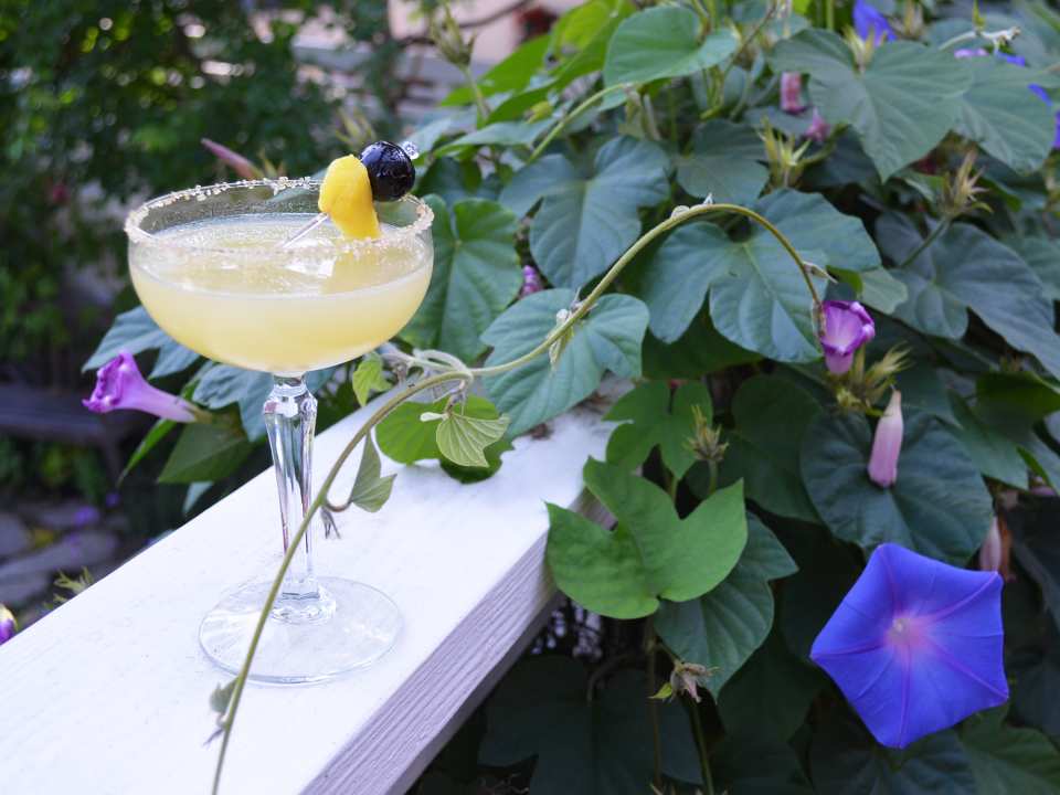 photo by Kate Richards