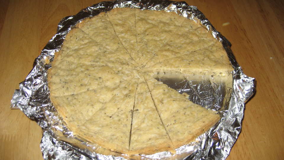 photo by Shannon Cooks