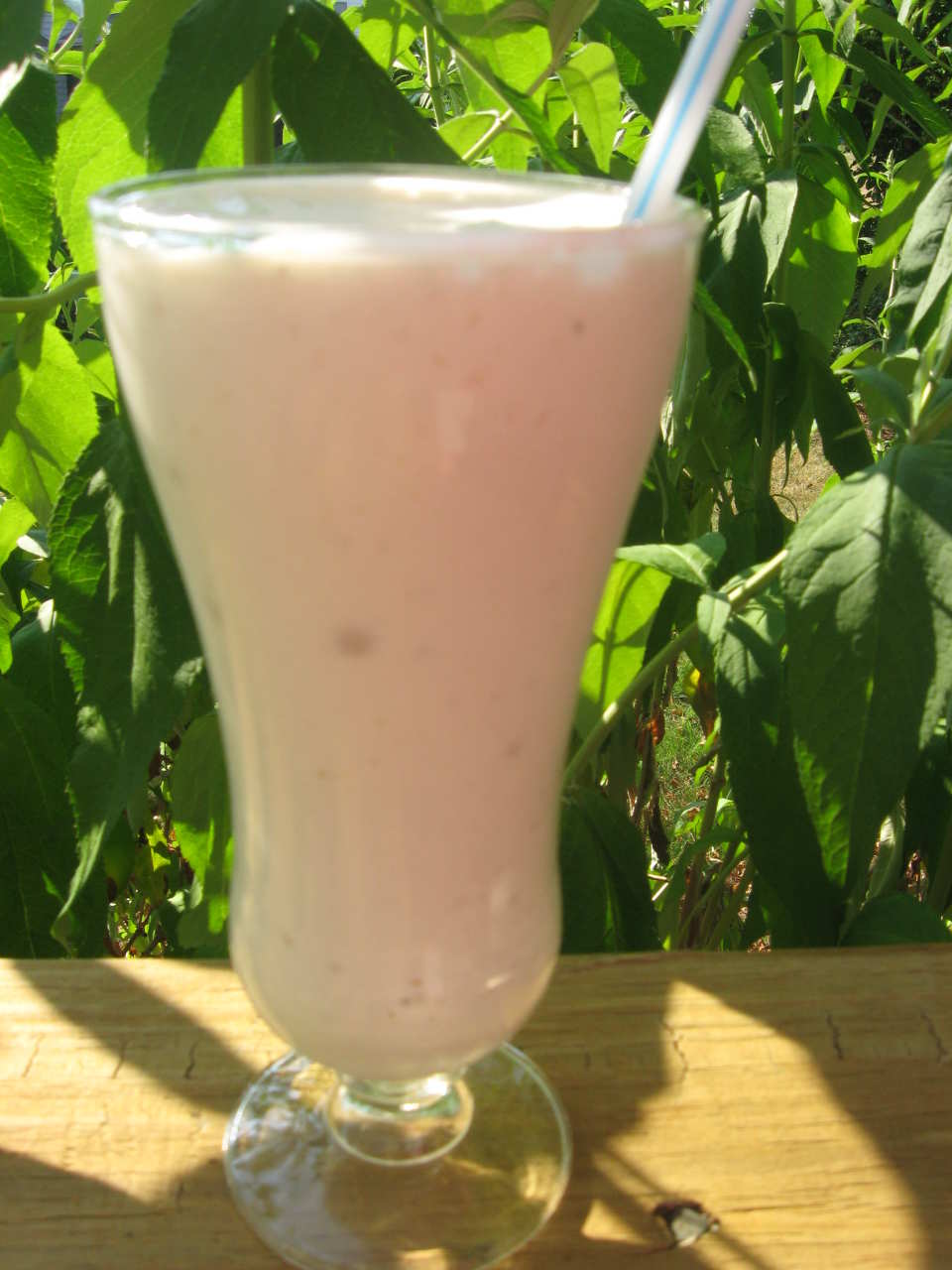 photo by mary winecoff