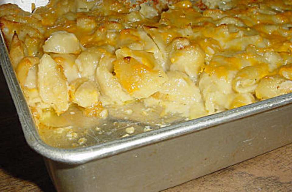 photo by Karen=^..^=