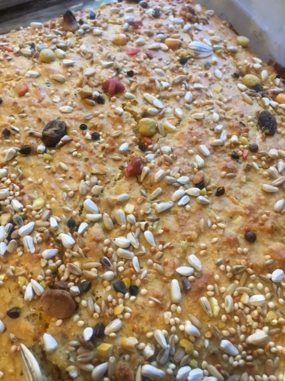 Wholesome Birdie Bread for Parrots Recipe - Food.com