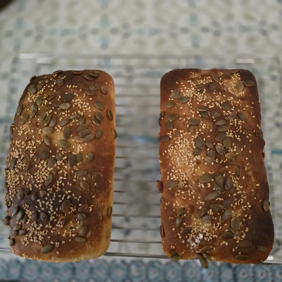 photo by Monica.sanjai