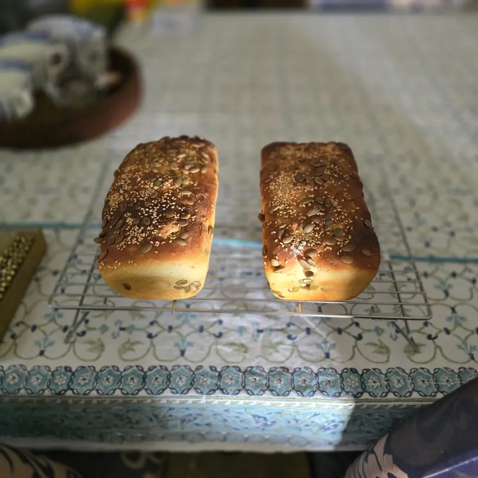 photo by Monica.sanjai