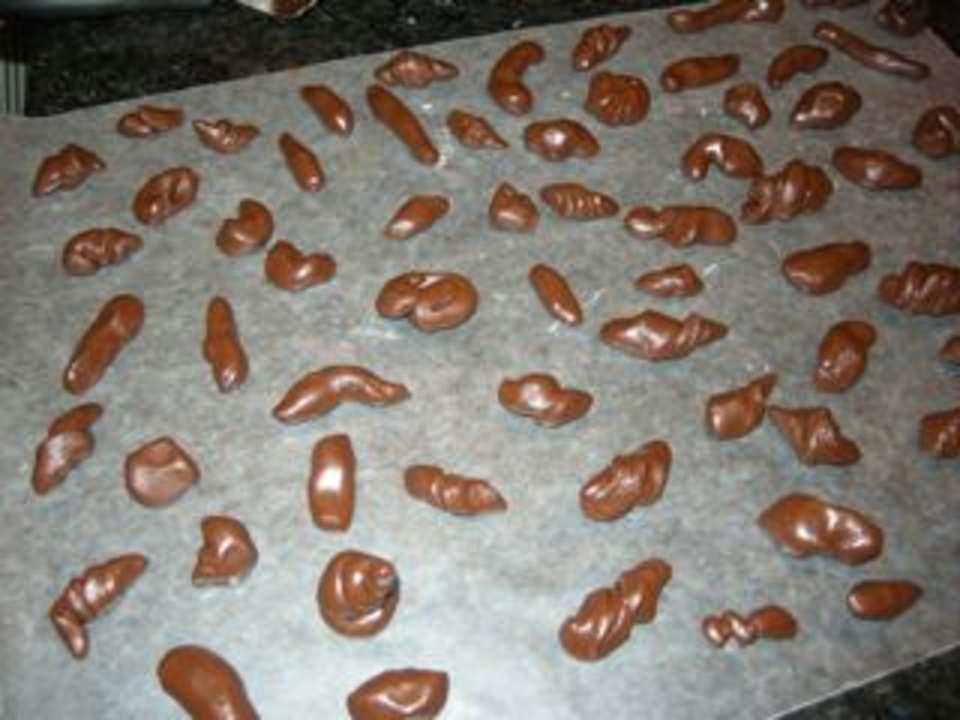 photo by Canada Goose