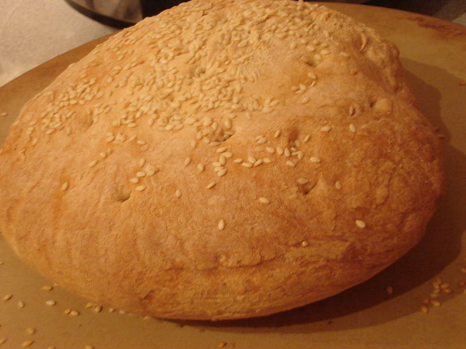 photo by Tulip-Fairy