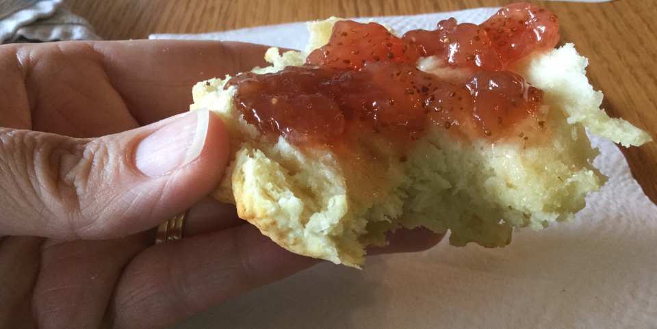 photo by SuzieQSooner