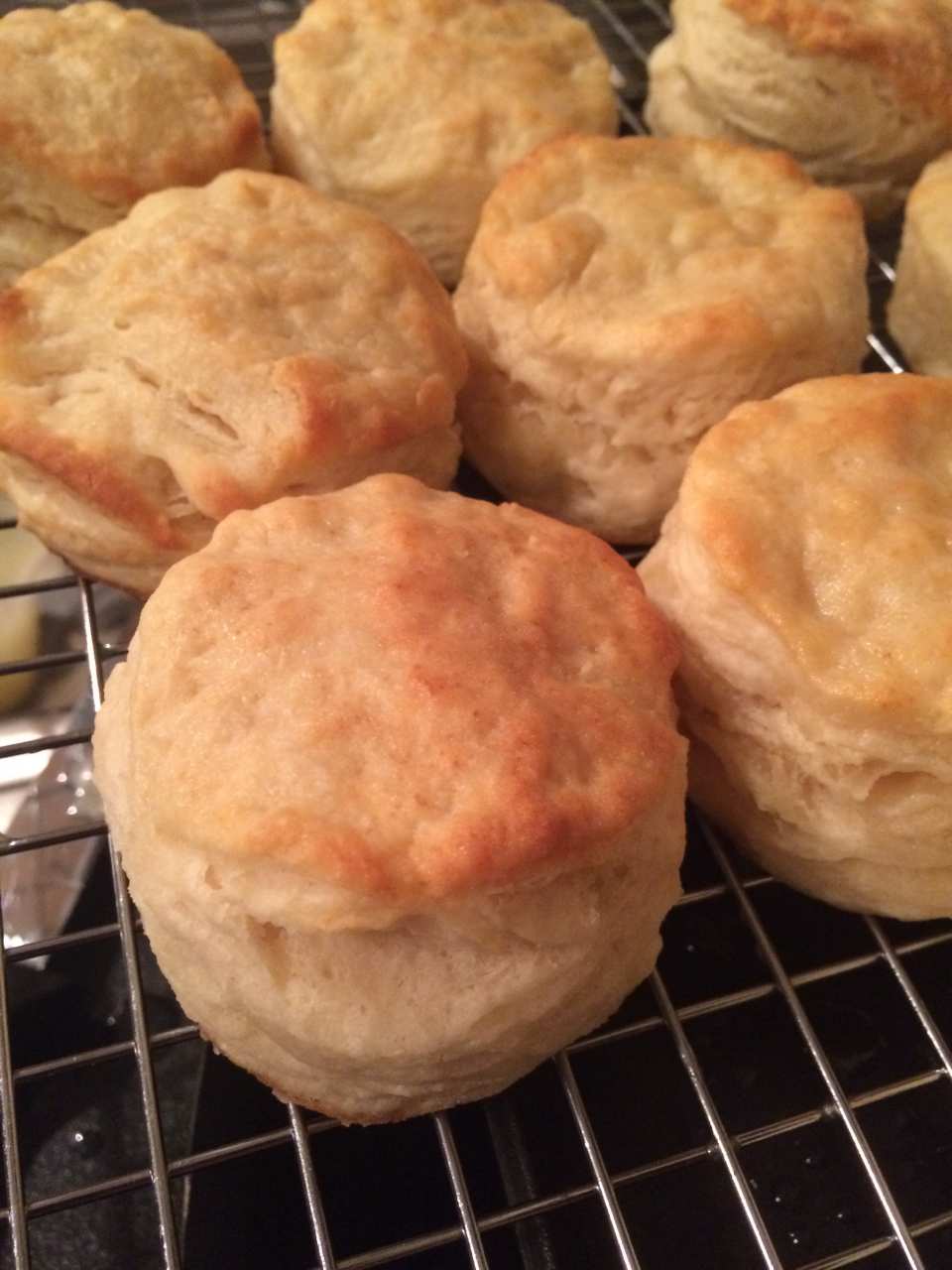 photo by abbasjewel04