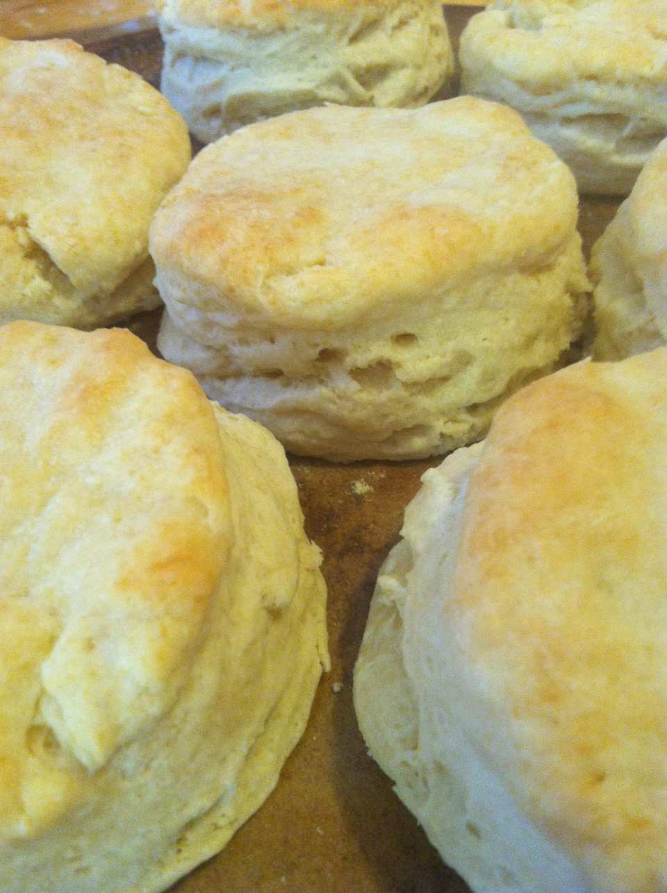 photo by hardyhayestermitepe