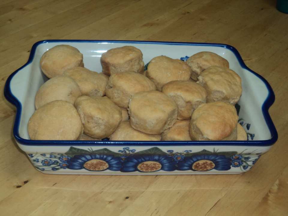 photo by Forrestangel