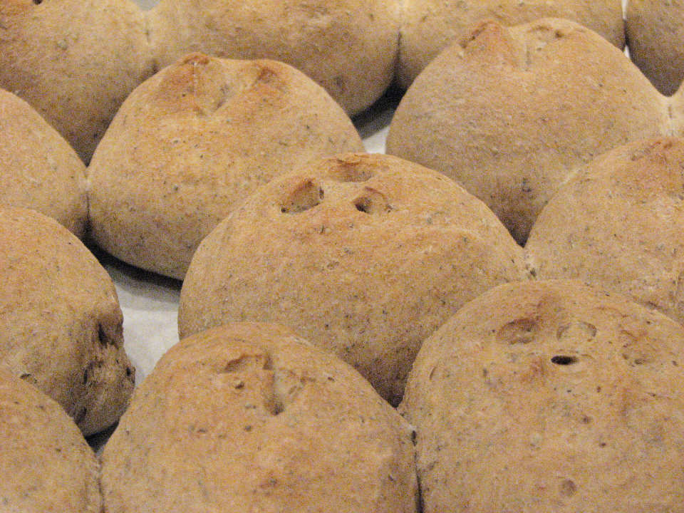 photo by Bonnie G #2