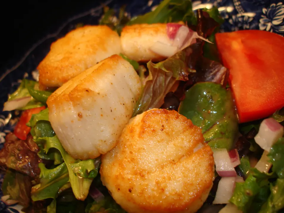 photo by Vicki in CT