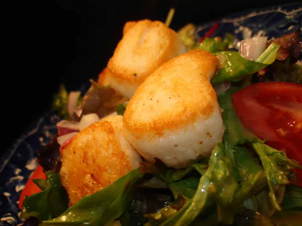 photo by Vicki in CT