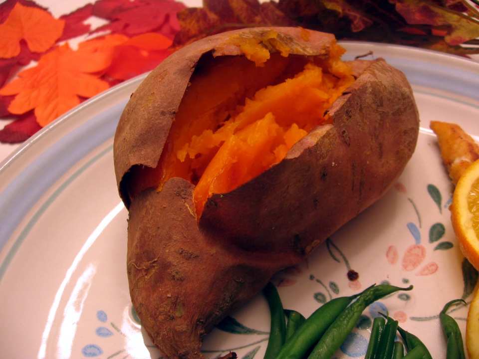 photo by Dreamer in Ontario