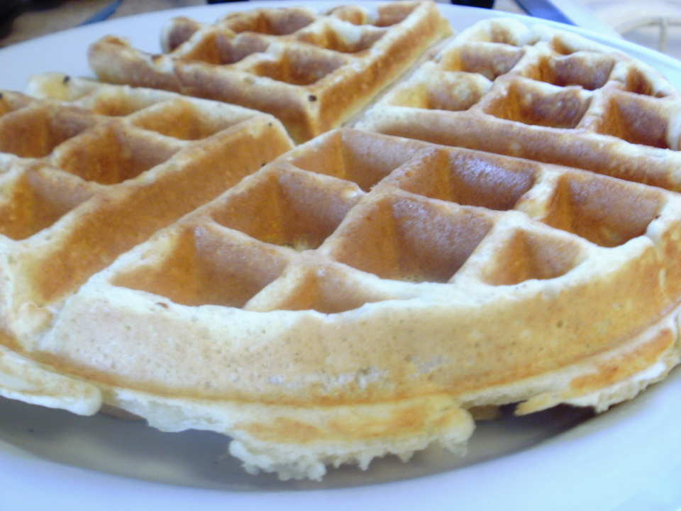 photo by Marie Nixon