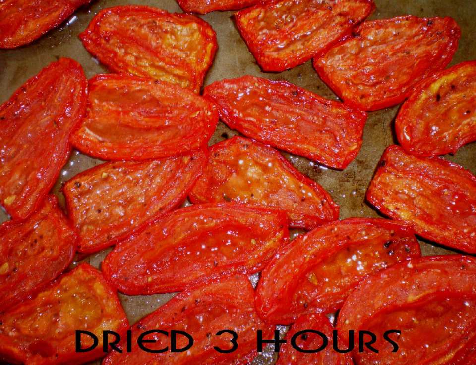 photo by Julie Bs Hive