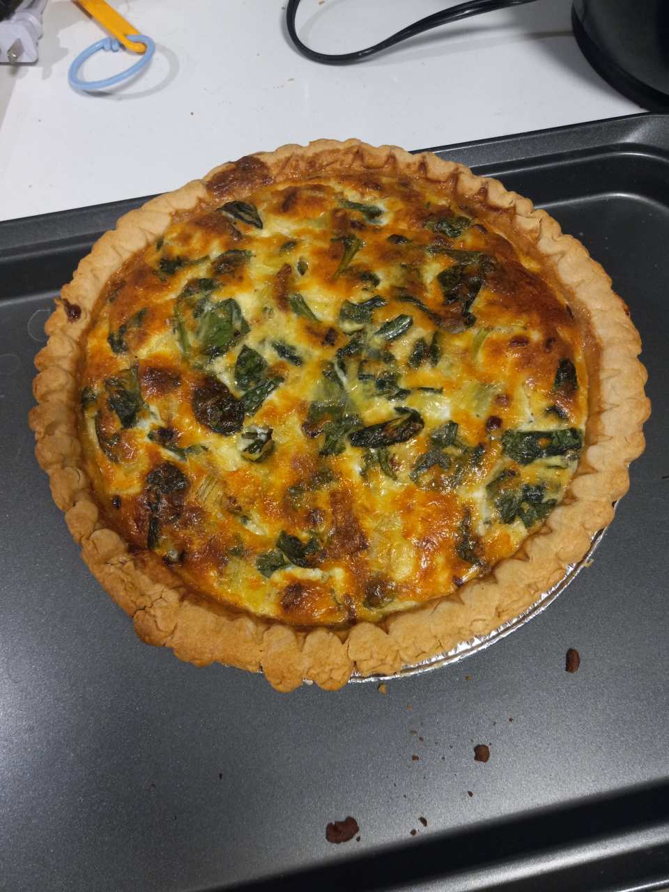 photo by juniperlindbergc