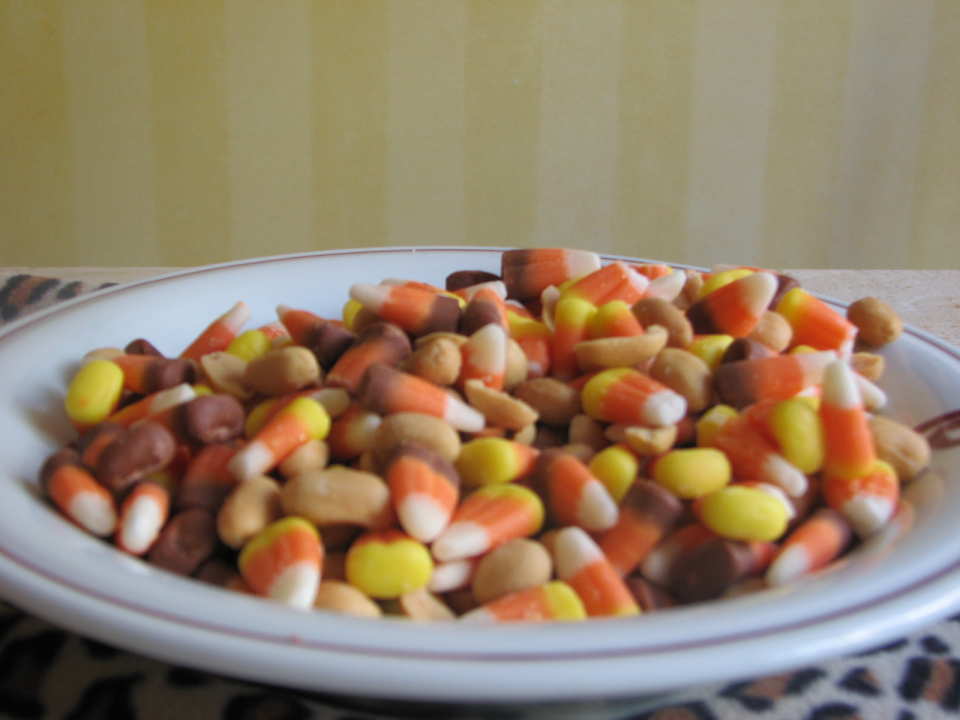 photo by Bonnie G #2