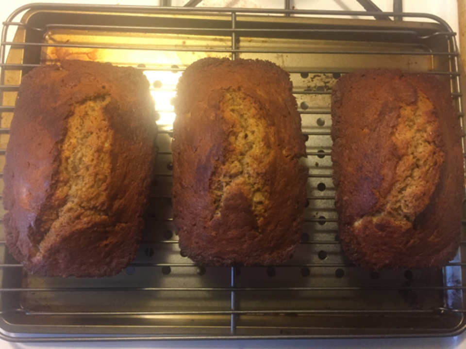 photo by Marquita C.