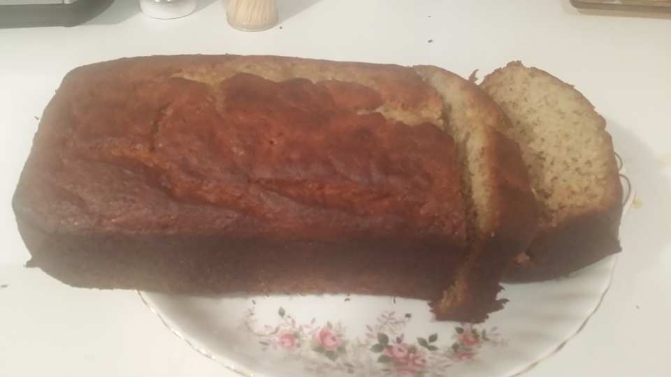 photo by tricia-lahey