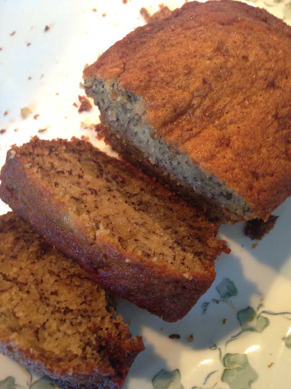 photo by Rachel Shutty