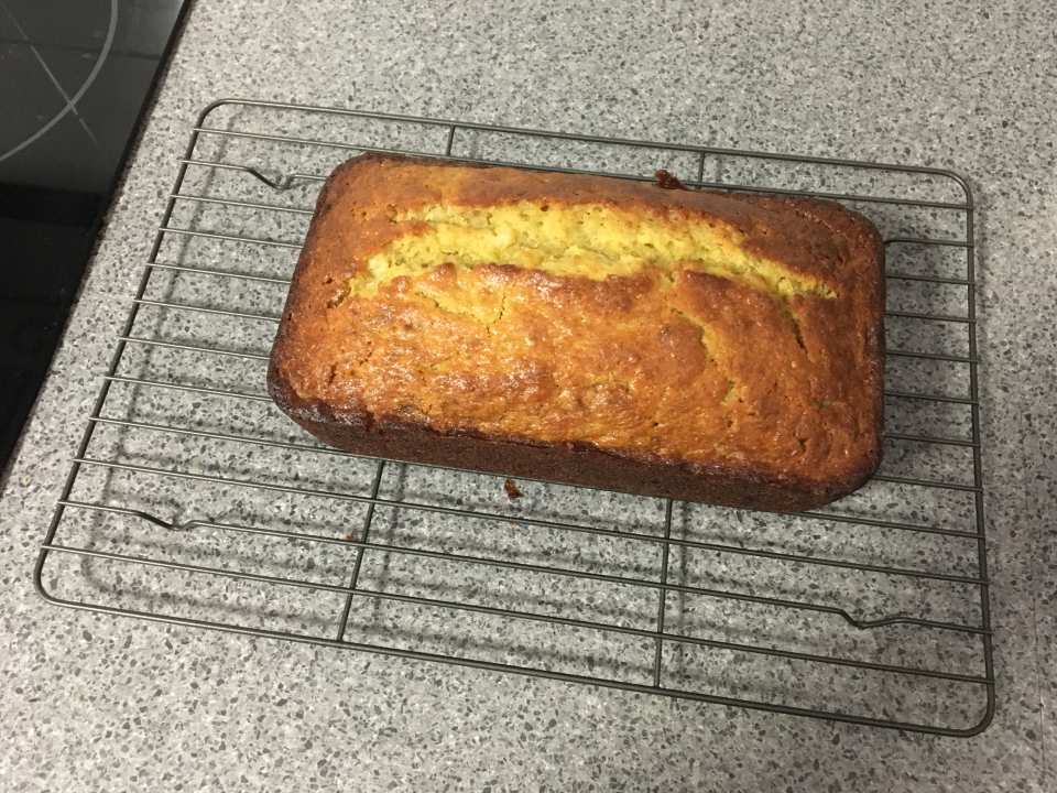 photo by miagrobbelaar97