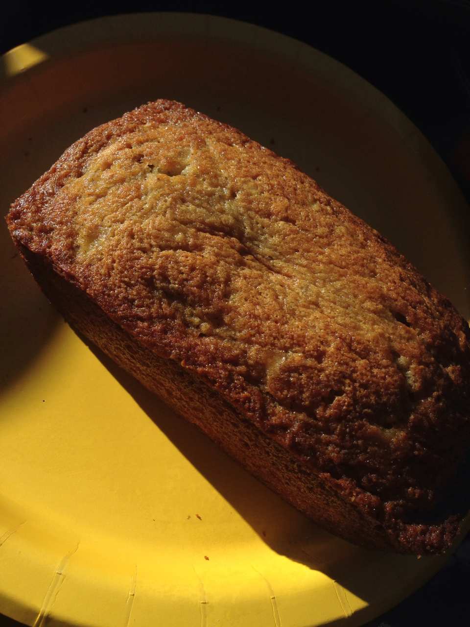 photo by Rachel Shutty