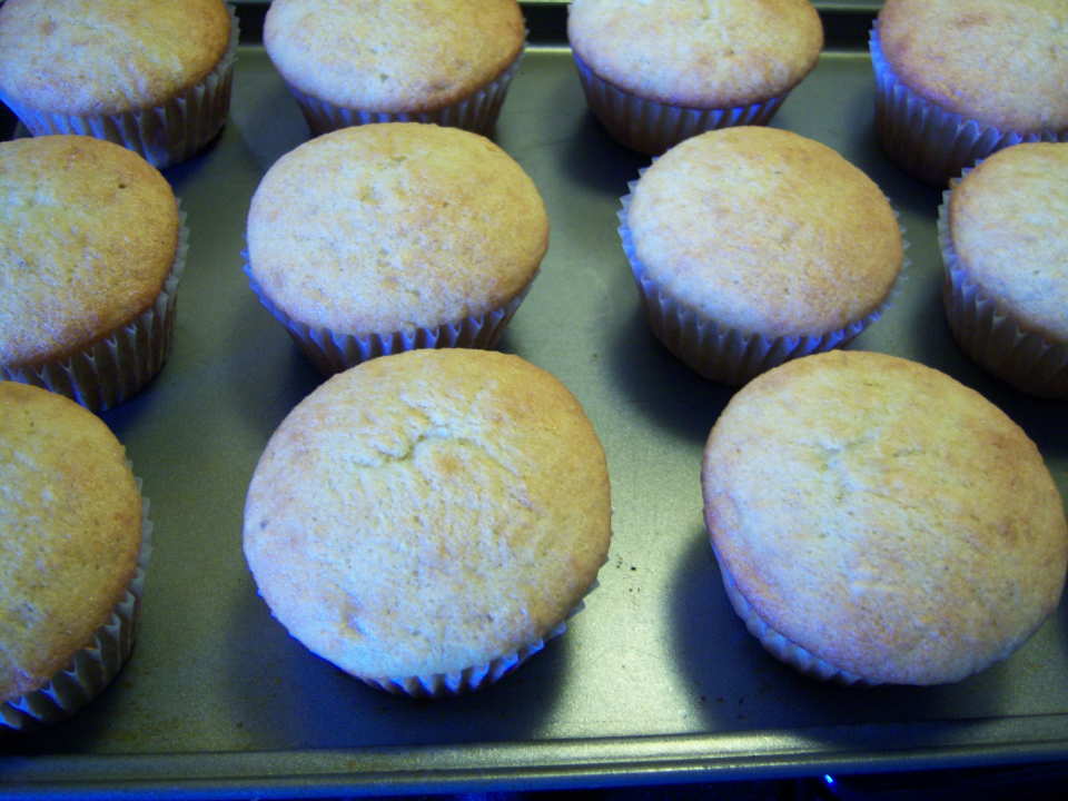 photo by jessymroberts