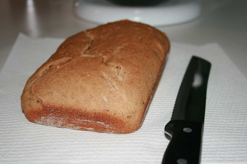 photo by Emily Elizabeth