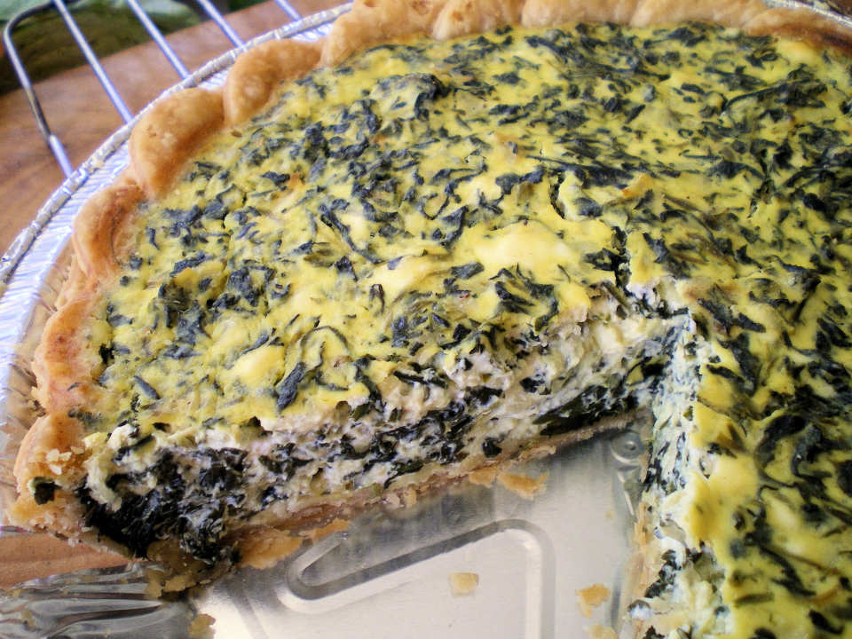 photo by Julie Bs Hive