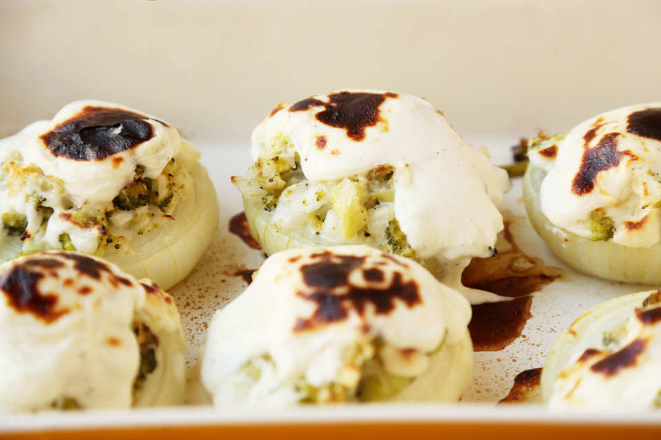 photo by Jonathan Melendez 