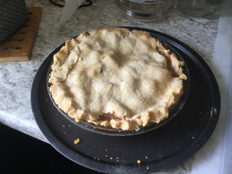 photo by crystalgonzales32254