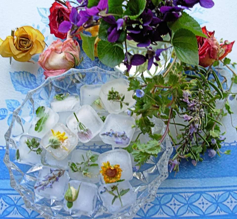 photo by French Tart