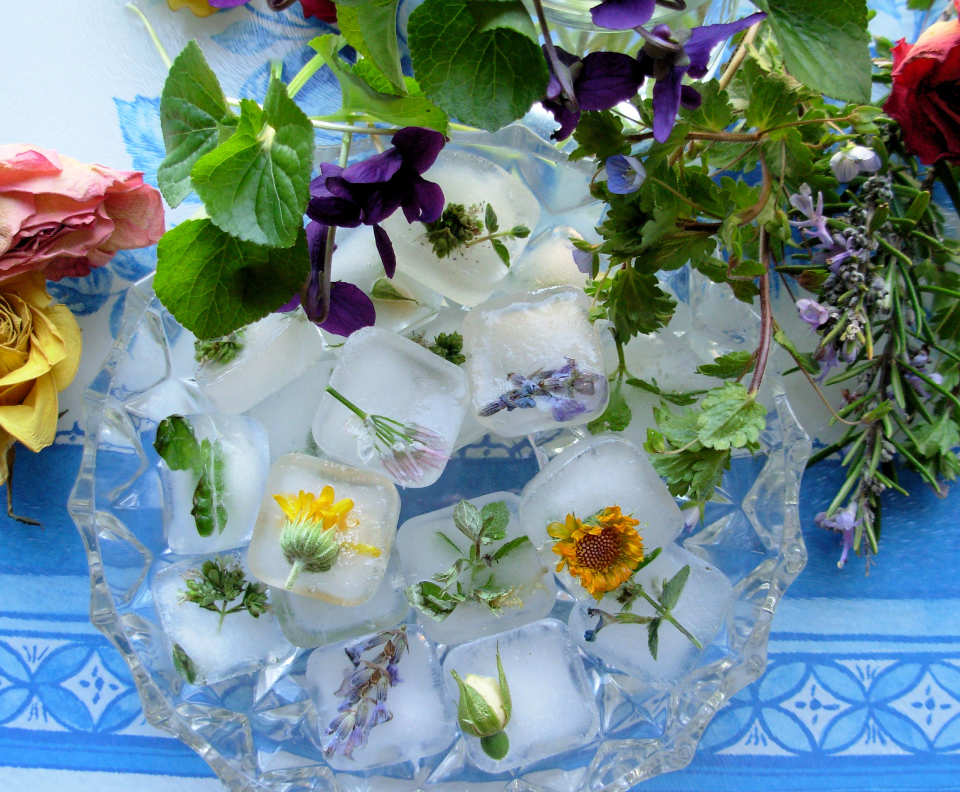 photo by French Tart