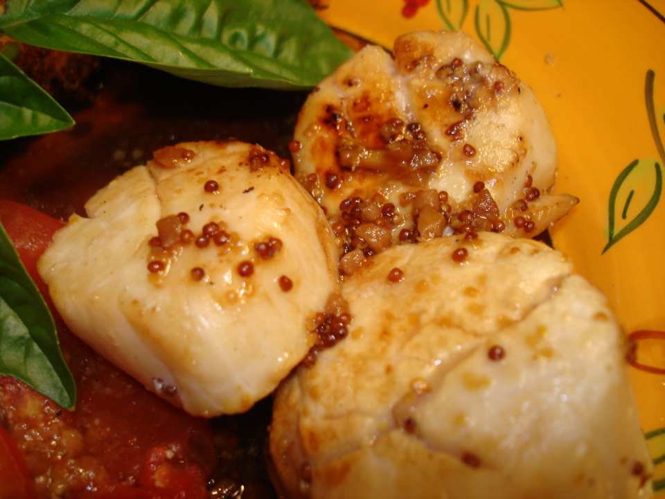 photo by Vicki in CT