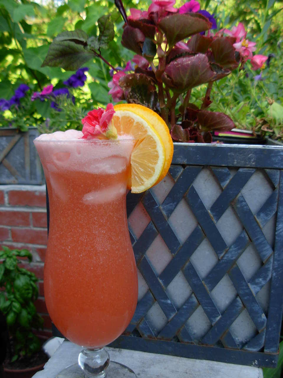 photo by sassafrasnanc