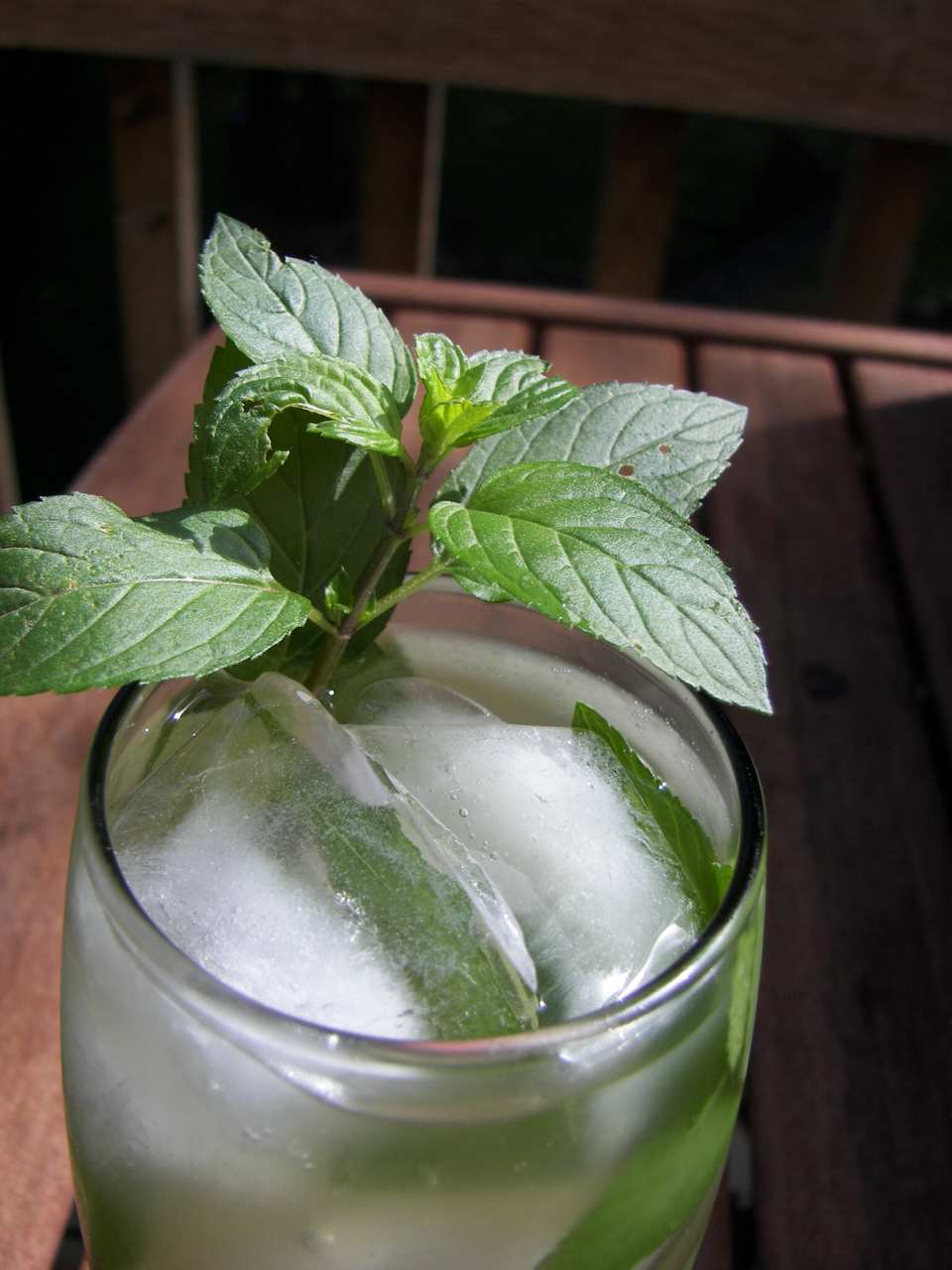 Chilled Sage & Herb Tea Recipe - Food.com