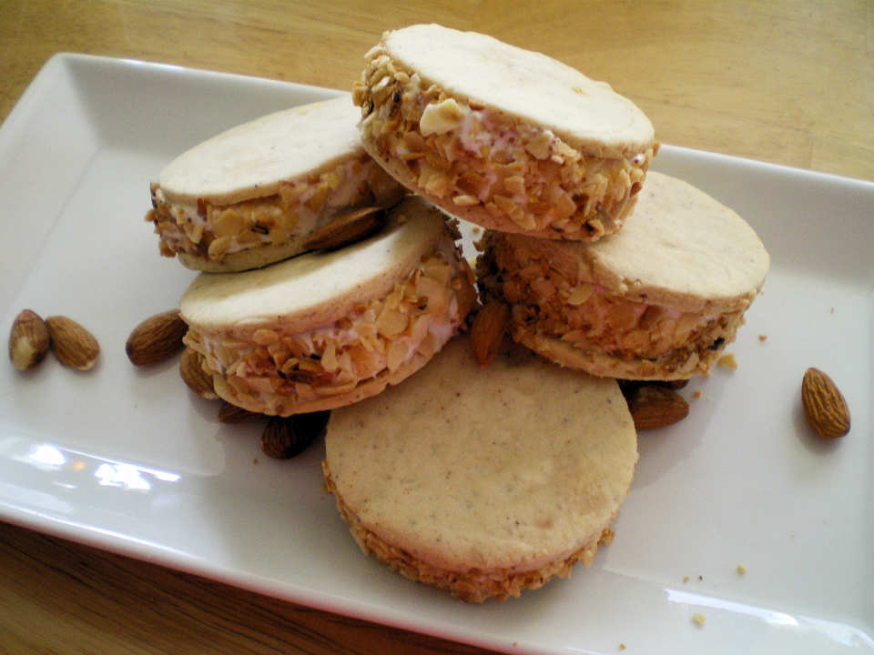 photo by Julie Bs Hive