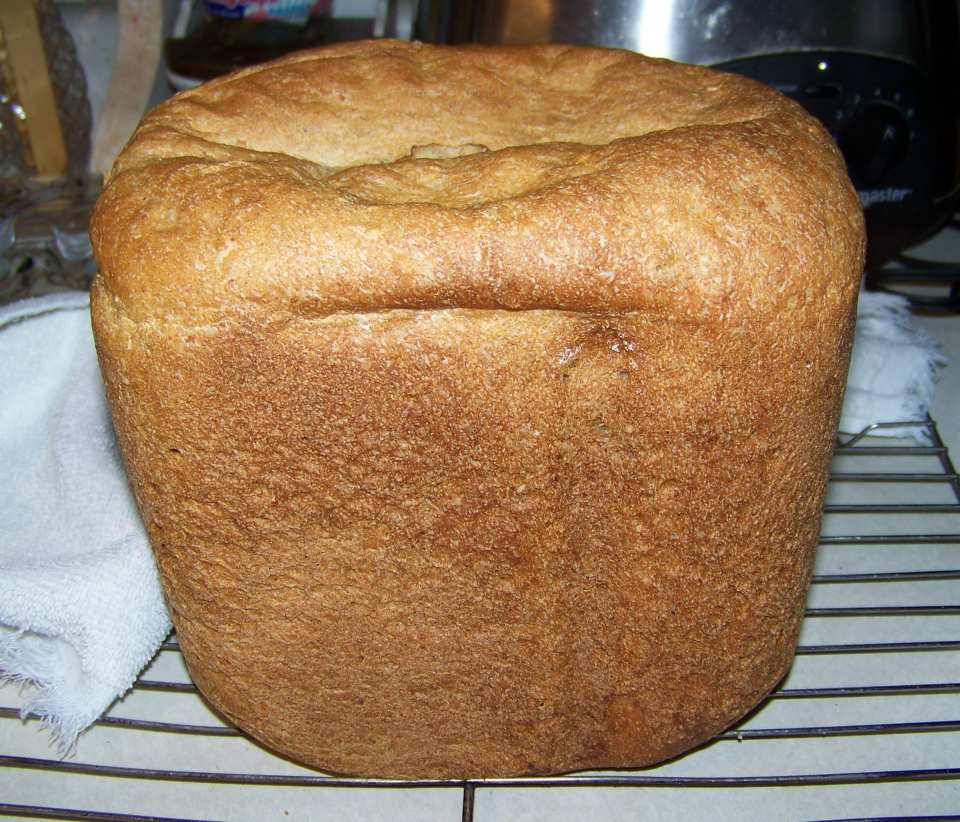 photo by Mimi in Maine