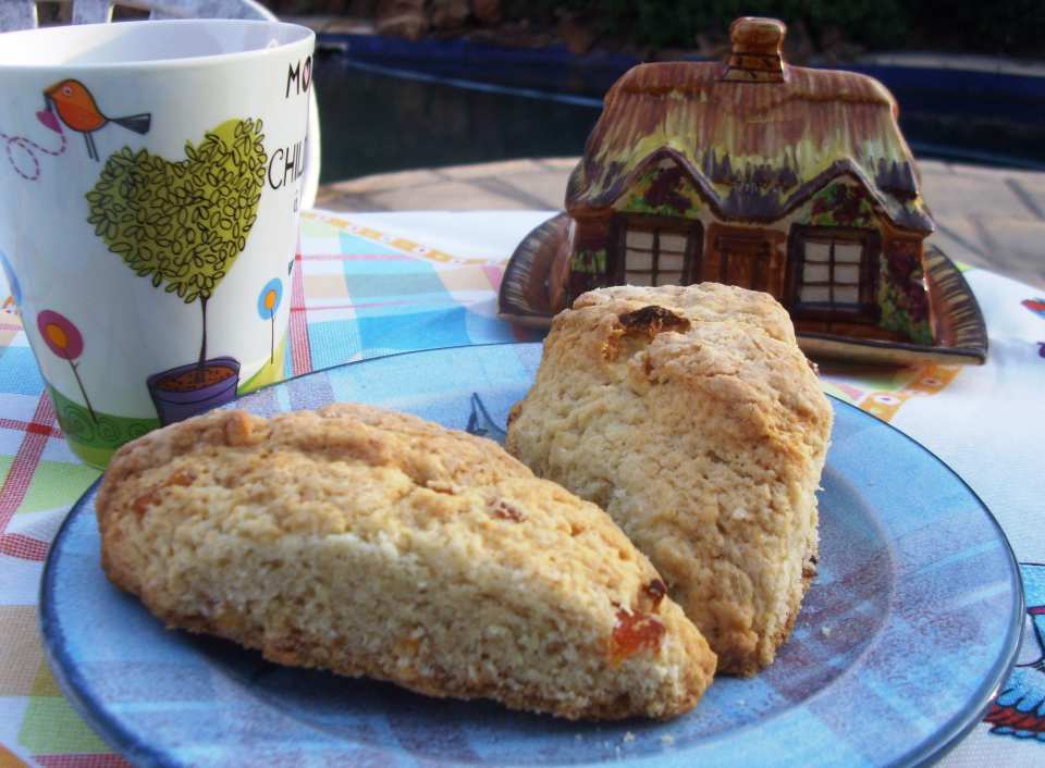 photo by Karen Elizabeth