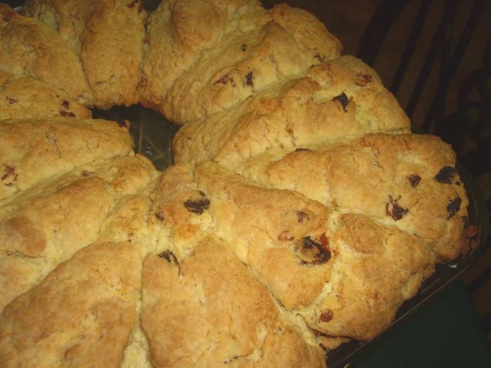 photo by Karen Elizabeth