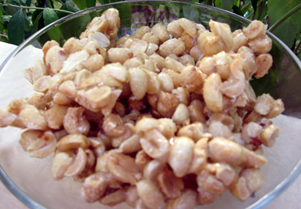 photo by mary winecoff