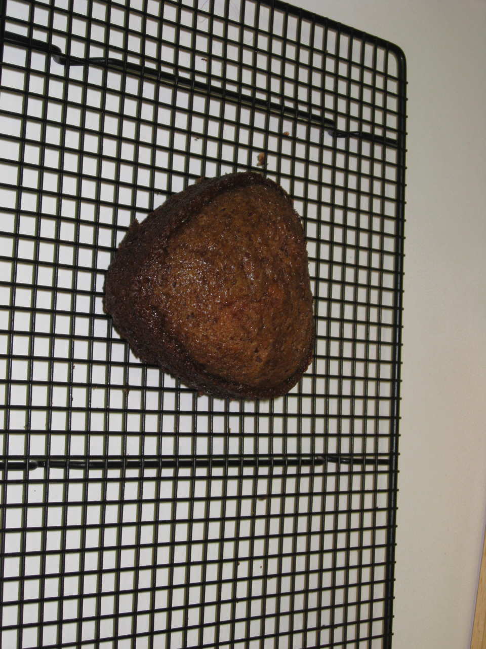 photo by FrenchBunny