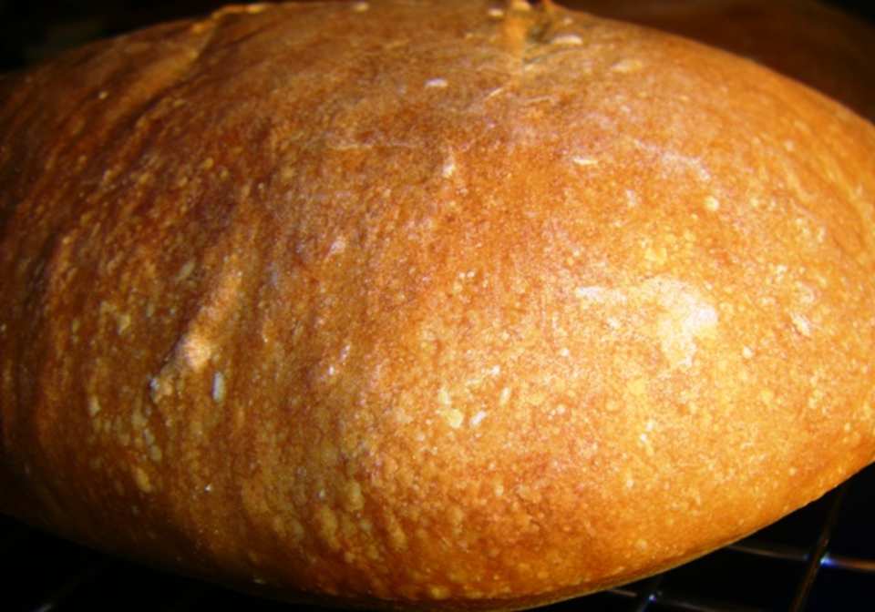 photo by Susiecat too