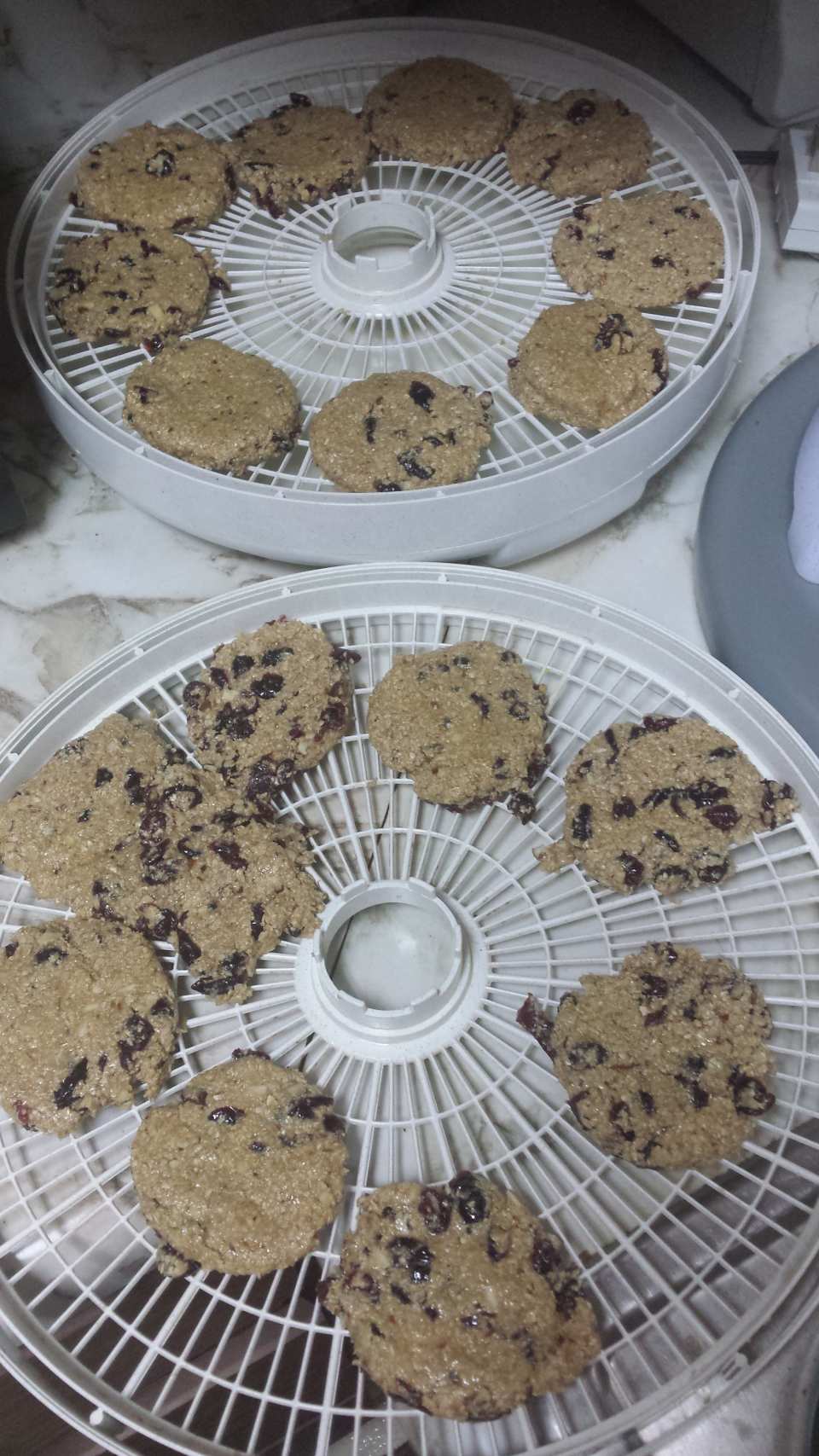 photo by aterveen_1487